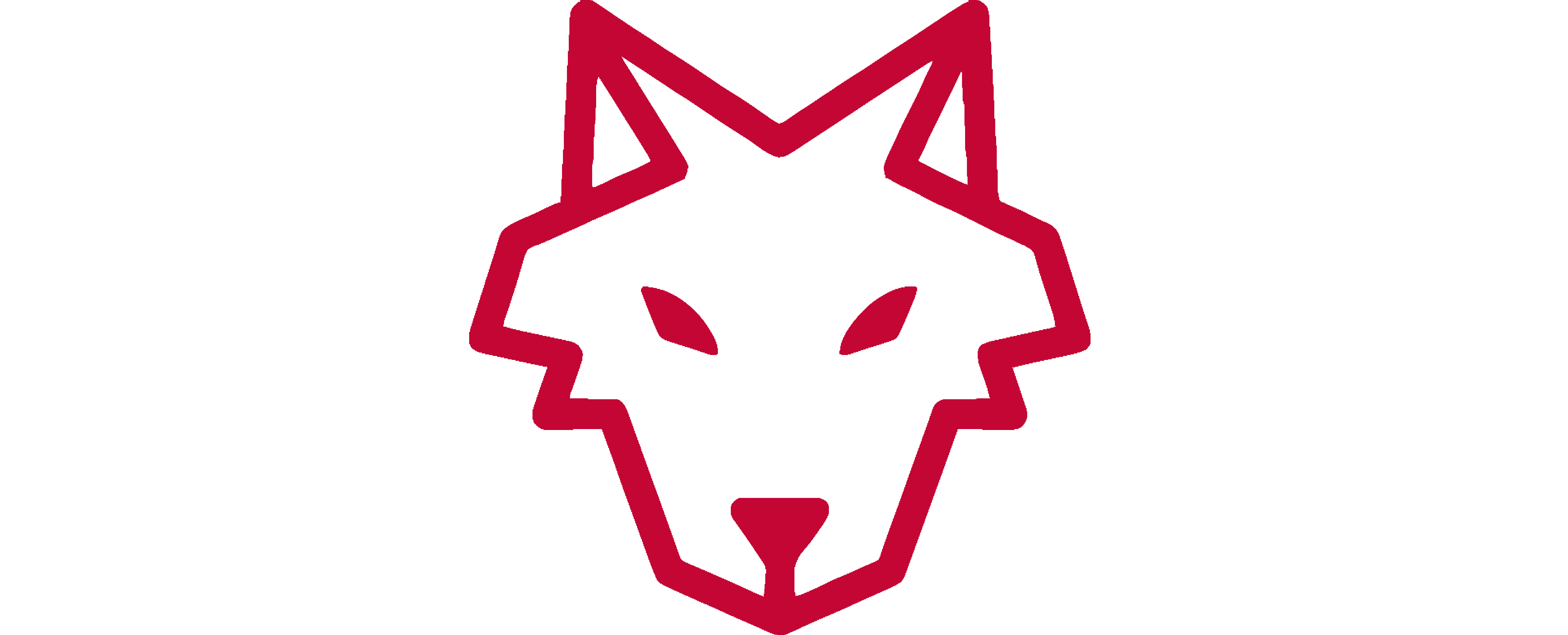 Wolf Software Systems Ltd